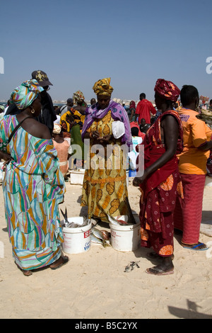 Donne acquisto e vendita appena sbarcato pesce sulla spiaggia di Yoff Senegal Africa occidentale Foto Stock