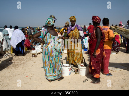 Donne acquisto e vendita appena sbarcato pesce sulla spiaggia di Yoff Senegal Africa occidentale Foto Stock