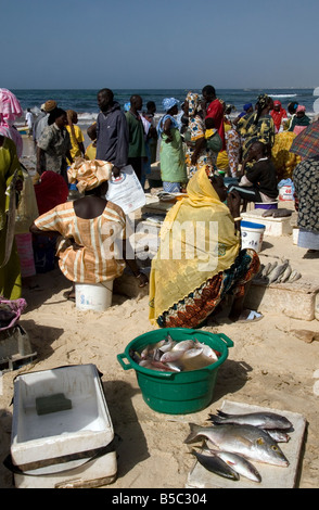 Donne acquisto e vendita appena sbarcato pesce sulla spiaggia di Yoff Senegal Africa occidentale Foto Stock