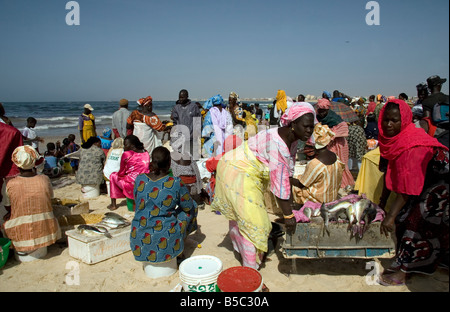 Donne acquisto e vendita appena sbarcato pesce sulla spiaggia di Yoff Senegal Africa occidentale Foto Stock