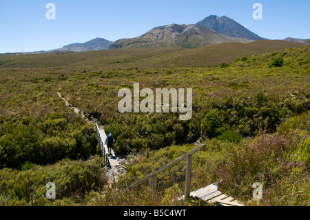 Monte Ngauruhoe dalla pista al rifugio di Mantetepopo, circuito Nord di Tongariro, Isola del Nord, Nuova Zelanda Foto Stock