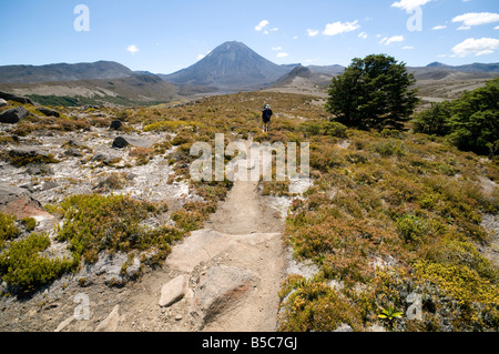 Il monte Ngauruhoe dal deserto Rangipo, Tongariro circuito nord, nord Isola, Nuova Zelanda Foto Stock