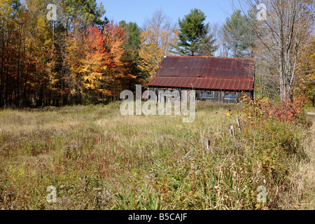 I colori autunnali lungo Bog Road in Campton New Hampshire USA che è parte della Scenic New England Foto Stock