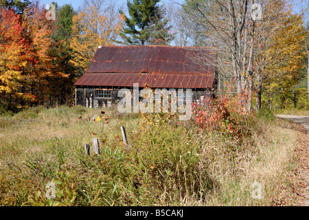 I colori autunnali lungo Bog Road in Campton New Hampshire USA che è parte della Scenic New England Foto Stock