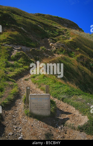 Sito del Patrimonio Mondiale segno alla porta di Durdle Dorset England Regno Unito Foto Stock