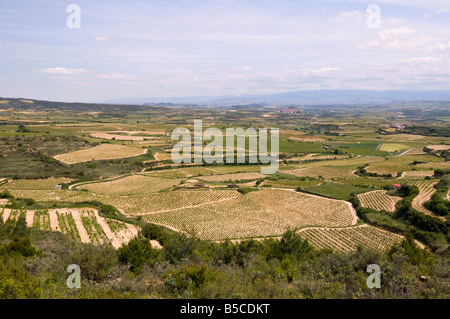 Paesi Baschi, Spagna. La Rioja Alavesa regione vinicola vicino a Haro Foto Stock