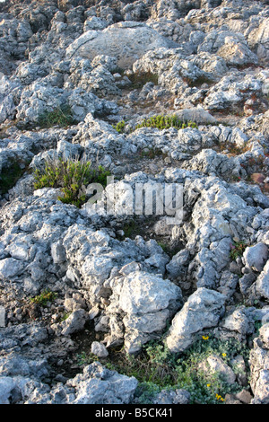 Deserto paesaggio roccioso con vegetazione Foto Stock