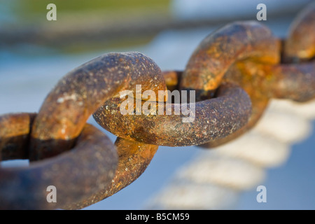 Ripresa macro di un arrugginito catena di ancoraggio. Foto Stock