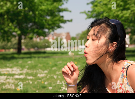 Il coreano oriental donna su Clapham Common London soffiando in semi di tarassaco rendendo un desiderio Foto Stock