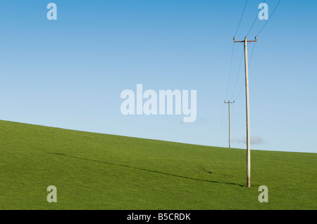I poli di energia elettrica di alimentazione linea che attraversa e svuotare il campo verde contro un cielo blu chiaro Foto Stock