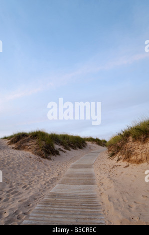 Il Boardwalk attraverso Sleeping Bear Dunes National Lakeshore Leelanau County Michigan Foto Stock