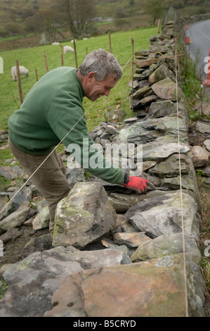 Uomo che ripara un secco muro di pietra in una fattoria in Snowdonia Gwynedd Galles del Nord utilizzando le competenze tradizionali e tecniche, REGNO UNITO Foto Stock