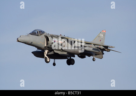 Royal Air Force Harrier GR9 di decollo e atterraggio verticale (VTOL) aeromobile in bilico Foto Stock