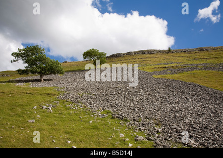Ghiaione e calcare vale, vicino Conistone, Yorkshire Dales National Park, North Yorkshire, Inghilterra, Europa Foto Stock