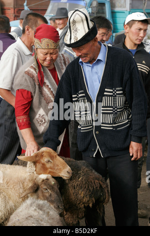 Coppia del Kirghizistan scelta di ovini per l'acquisto, la domenica il mercato degli animali in Karakol, Kirghizistan, Asia centrale Foto Stock