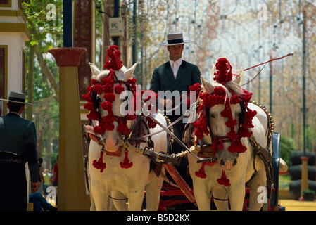 Carrozza a cavalli, Feria del Caballo (Fiera Cavalli), Jerez de la Frontera, Cadice, Andalusia (Andalusia), Spagna, Europa Foto Stock