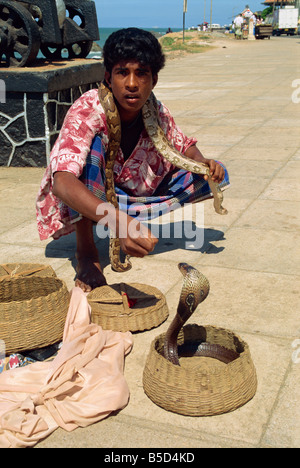 Il serpente incantatore sul lungomare Colombo Sri Lanka asia Foto Stock