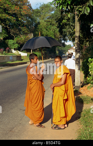 I monaci buddisti di Kandy Sri Lanka asia Foto Stock