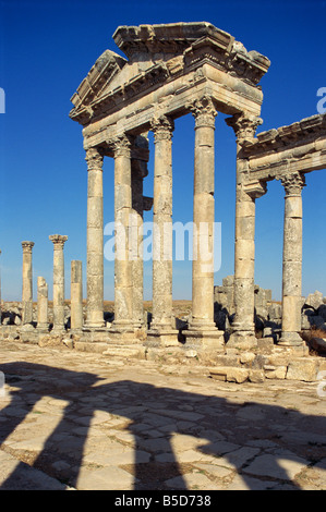 Cardo, Apamea, Siria, Medio Oriente Foto Stock