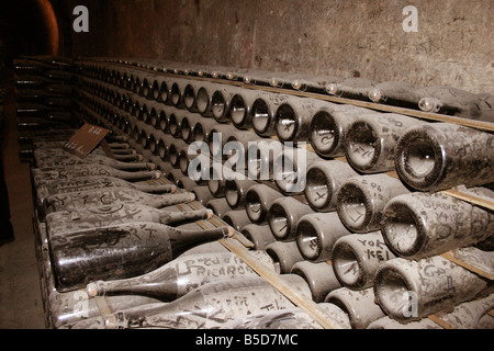 Moet et Chandon vecchio vintage polverose bottiglie di champagne presso le loro cantine capo ufficio, Epernay Francia orizzontale. 50645 Epernay2005 Foto Stock