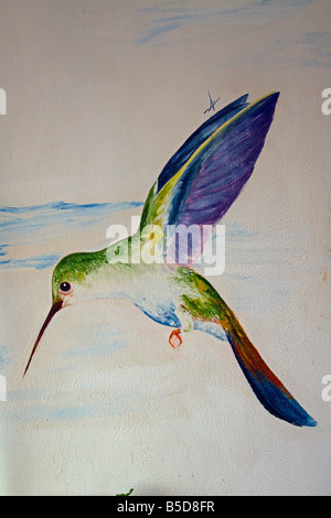 Hummingbird pittura murale Foto Stock