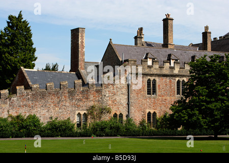 Pozzetti Palazzo Vescovile cricket motivi Somerset REGNO UNITO Foto Stock