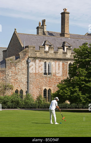 Pozzetti Palazzo Vescovile cricket motivi Somerset Gran Bretagna Regno Unito Foto Stock