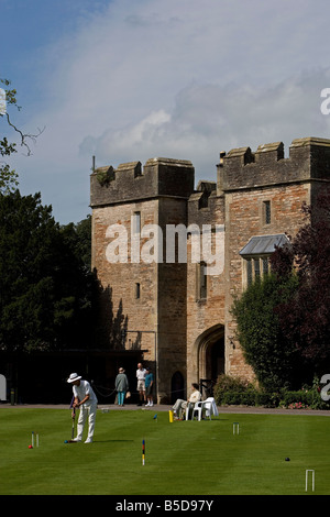 Pozzetti Palazzo Vescovile cricket motivi Somerset Gran Bretagna Regno Unito Foto Stock