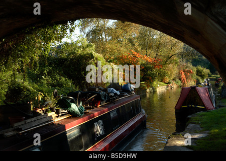 Narrowboat passando sotto un ponte sul Kennet and Avon Canal, vicino Avoncliff, Wiltshire, Inghilterra, Regno Unito Foto Stock