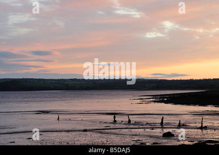 Sunset over Cleddau orientale verso il punto di Picton Pembrokeshire Parco nazionale del Galles Foto Stock