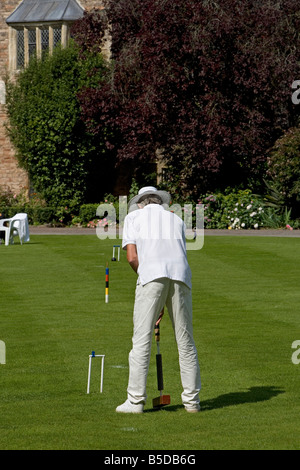 Pozzetti Palazzo Vescovile cricket motivi Somerset Gran Bretagna Regno Unito Foto Stock