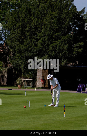 Pozzetti Palazzo Vescovile cricket motivi Somerset Gran Bretagna Regno Unito Foto Stock