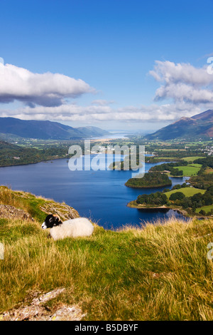 Derwent Water visto da Walla Rupe di vertice in autunno, 'Il Lake District' Cumbria Inghilterra England Regno Unito Foto Stock