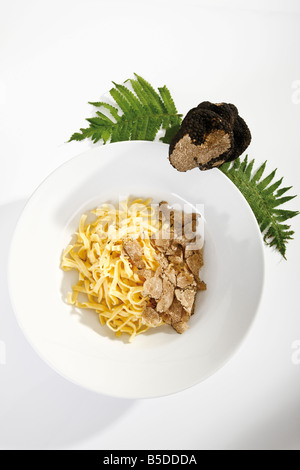 Tagliolini al tartufo, vista in elevazione Foto Stock