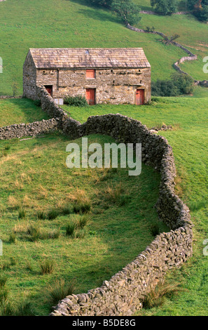 Fienile tradizionale in Swaledale superiore, Yorkshire Dales National Park, il Yorkshire, Inghilterra, Europa Foto Stock