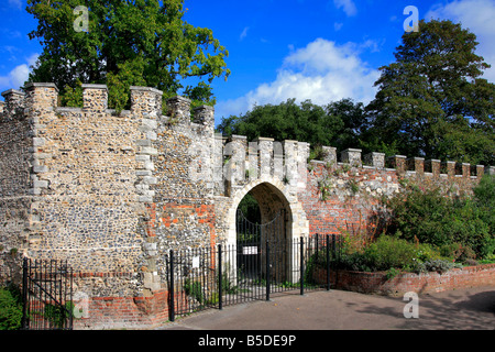 Paesaggio di Hertford le rovine del Castello di Città di Hertford Hertfordshire County Inghilterra REGNO UNITO Foto Stock
