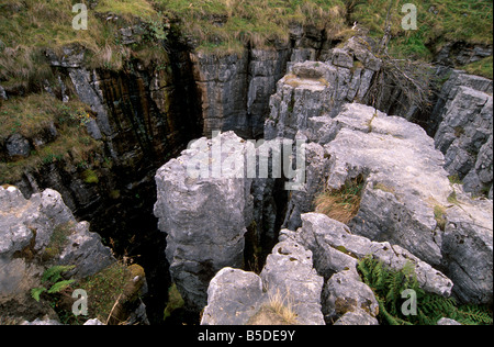 Buttertubs buche, erosione carsica a Buttertubs passano, tra Wensleydale e Swaledale, nello Yorkshire, Inghilterra Foto Stock