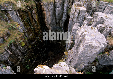 Buttertubs buche, erosione carsica a Buttertubs passano, tra Wensleydale e Swaledale, nello Yorkshire, Inghilterra Foto Stock