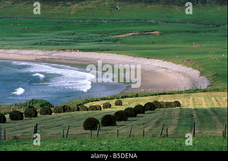 Croft vicino Tresta, Fetlar, Isole Shetland Scozia, Europa Foto Stock