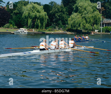 Il fiume Tamigi a Henley on Thames Oxfordshire England Regno Unito Europa Foto Stock