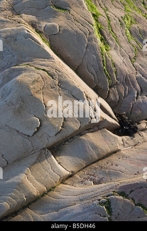 Spittal spiaggia foce del fiume Tweed vicino a Berwick rocce sulla tideline Foto Stock