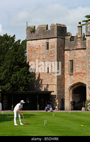 Pozzetti Palazzo Vescovile cricket motivi Somerset REGNO UNITO Foto Stock