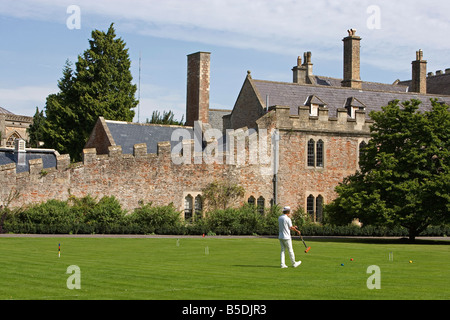 Pozzetti Palazzo Vescovile cricket motivi Somerset Gran Bretagna Regno Unito Foto Stock