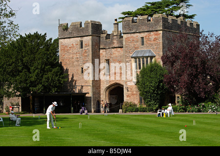 Pozzetti Palazzo Vescovile cricket motivi Somerset REGNO UNITO Foto Stock