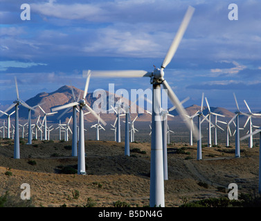Le turbine eoliche di produzione di energia elettrica in una fattoria eolica in California negli Stati Uniti d'America Nord America Foto Stock