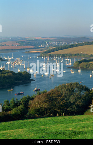 Vista sulla Kingsbridge estuario da East Portlemouth, Salcombe, Devon, Inghilterra, Europa Foto Stock