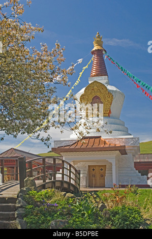 Lo stupa dal Giardino della Pace, Kagyu Samye Ling Monastero e centro tibetano, Eskdalemuir, Dumfries and Galloway, Scozia Foto Stock