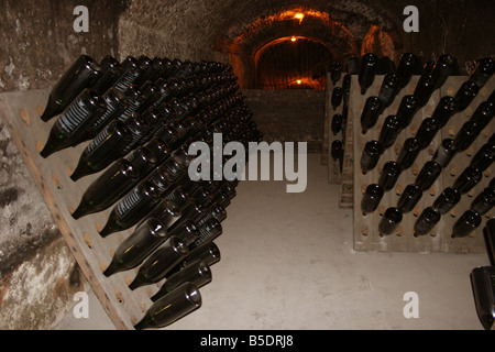 Moet et Chandon bottiglie di champagne in cantine capo ufficio, Epernay Francia orizzontale di .50676 Epernay2005 Foto Stock