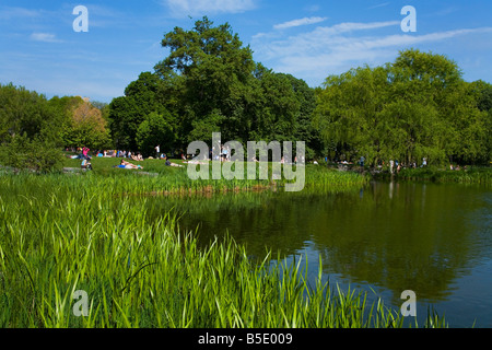 Turtle area stagno nel Central Park di New York City, New York, USA, America del Nord Foto Stock