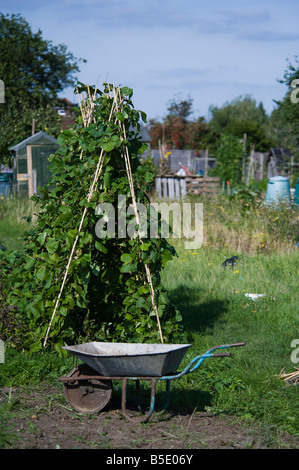 I baccelli e una ruota di barrow in un riparto in West Harrow vicino a Londra Foto Stock